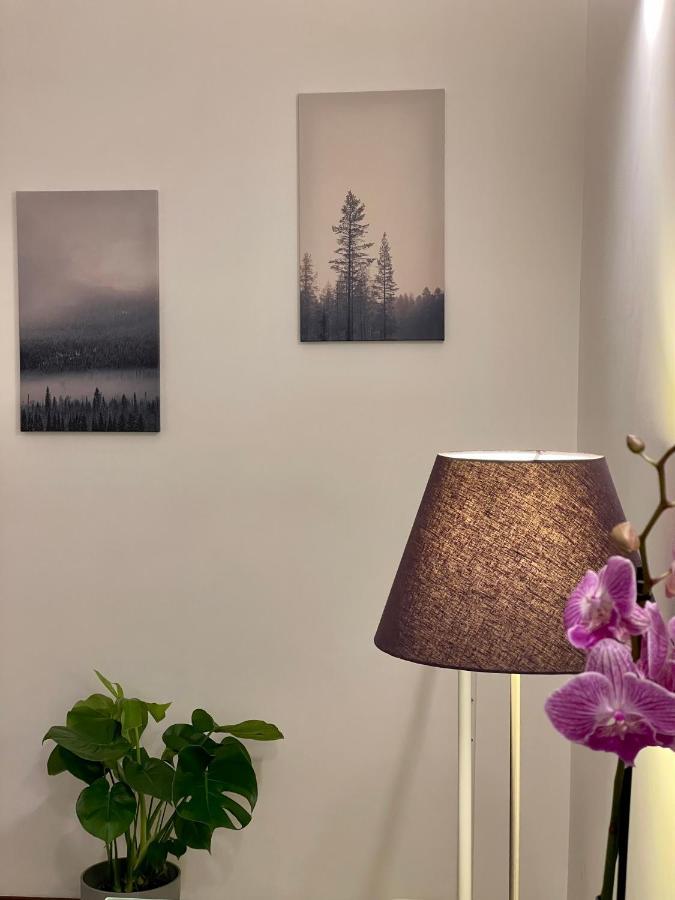C&Y Apartments - Roma Prati - Luxury Double Studio With Kitchen Екстериор снимка